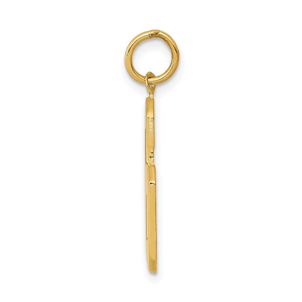 FJC Finejewelers 10 kt Yellow Gold Casted Large Polished Number 6 Charm 25 x 10 mm