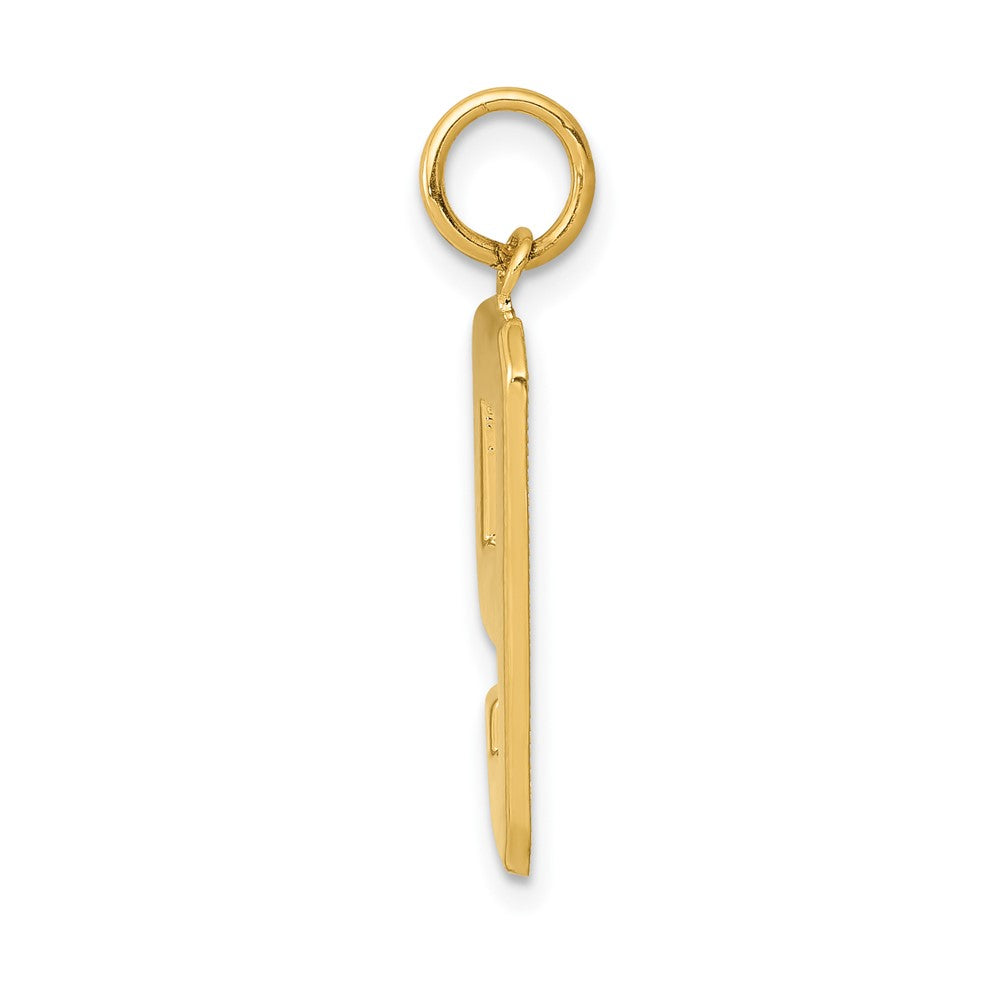 FJC Finejewelers 10 kt Yellow Gold Casted Large Polished Number 9 Charm 25 x 10 mm