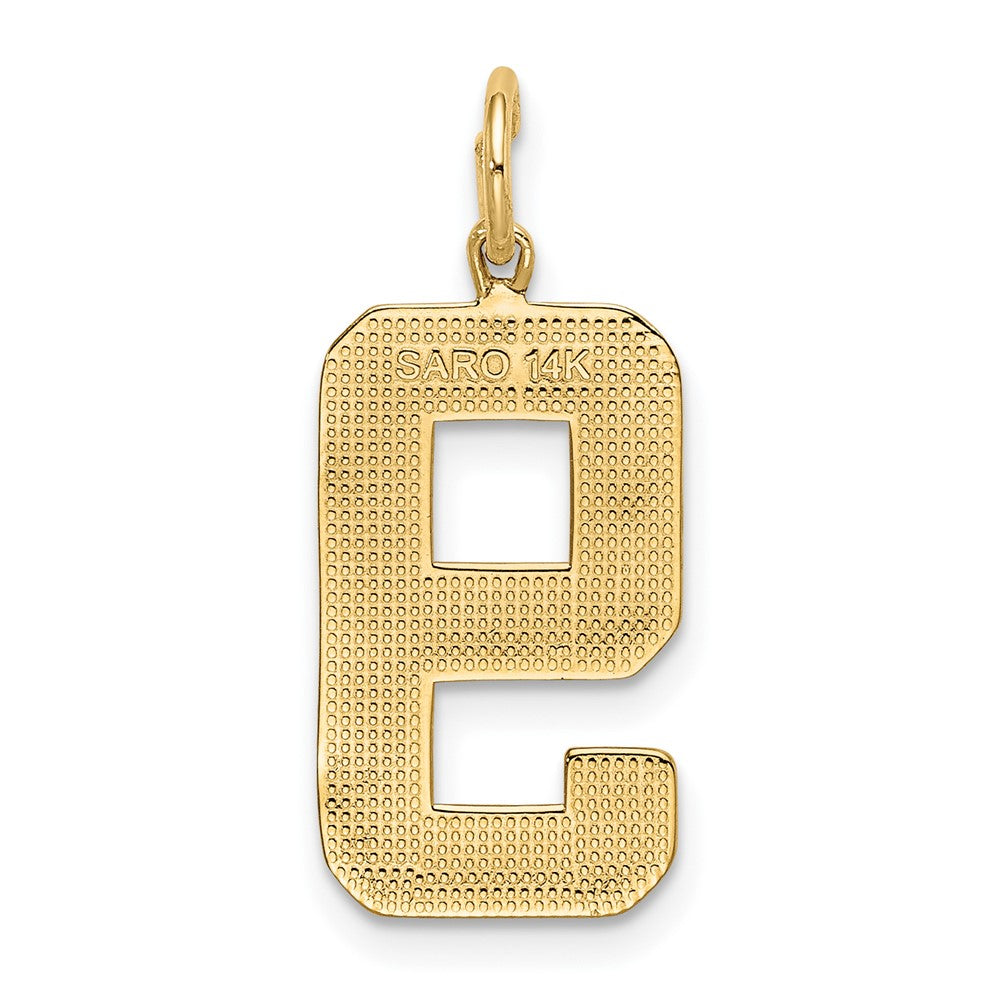 FJC Finejewelers 10 kt Yellow Gold Casted Large Polished Number 9 Charm 25 x 10 mm