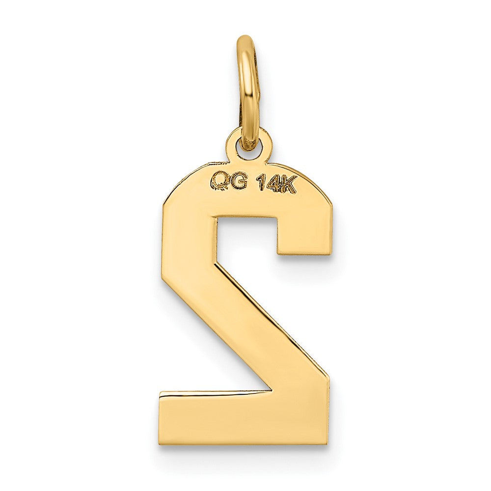 FJC Finejewelers 10 kt Yellow Gold Medium Satin Number 2 Charm 20 x 8 mm
