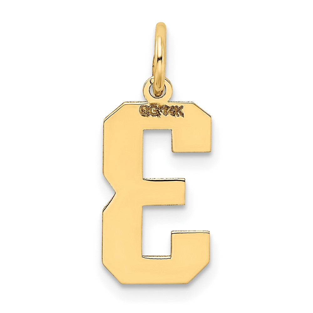 FJC Finejewelers 10 kt Yellow Gold Medium Satin Number 3 Charm 20 x 8 mm