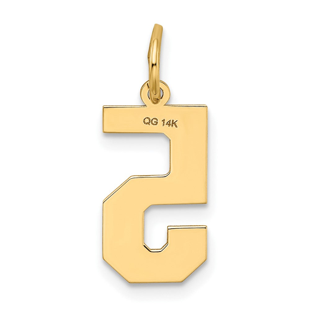 FJC Finejewelers 10 kt Yellow Gold Medium Satin Number 5 Charm 20 x 8 mm