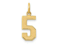 FJC Finejewelers 10 kt Yellow Gold Medium Satin Number 5 Charm 20 x 8 mm