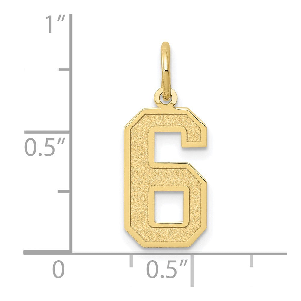 FJC Finejewelers 10 kt Yellow Gold Medium Satin Number 6 Charm 20 x 8 mm