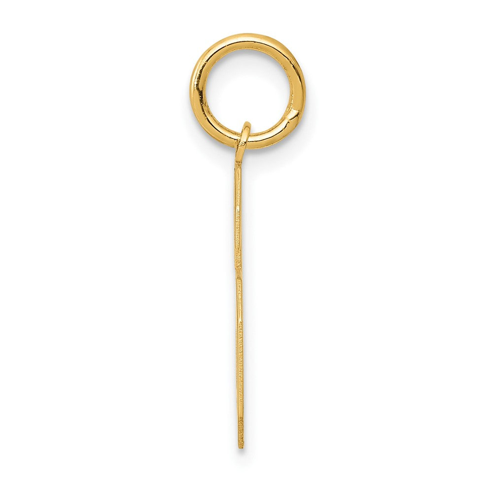 FJC Finejewelers 10 kt Yellow Gold Medium Satin Number 6 Charm 20 x 8 mm