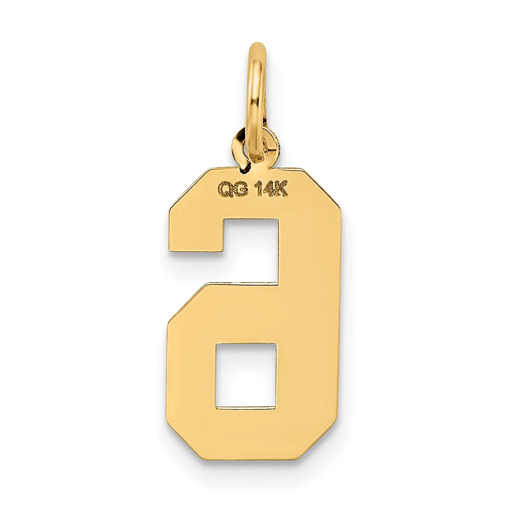 FJC Finejewelers 10 kt Yellow Gold Medium Satin Number 6 Charm 20 x 8 mm
