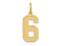 FJC Finejewelers 10 kt Yellow Gold Medium Satin Number 6 Charm 20 x 8 mm