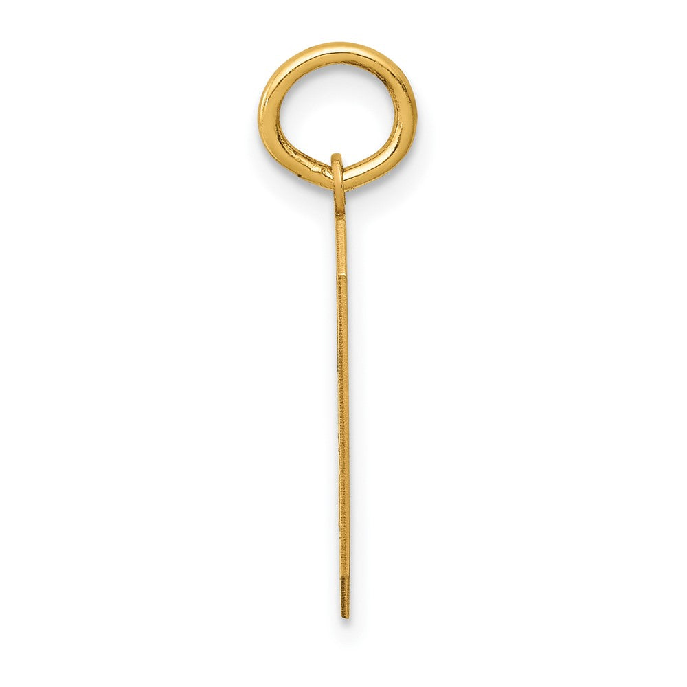 FJC Finejewelers 10 kt Yellow Gold Medium Satin Number 9 Charm 20 x 8 mm