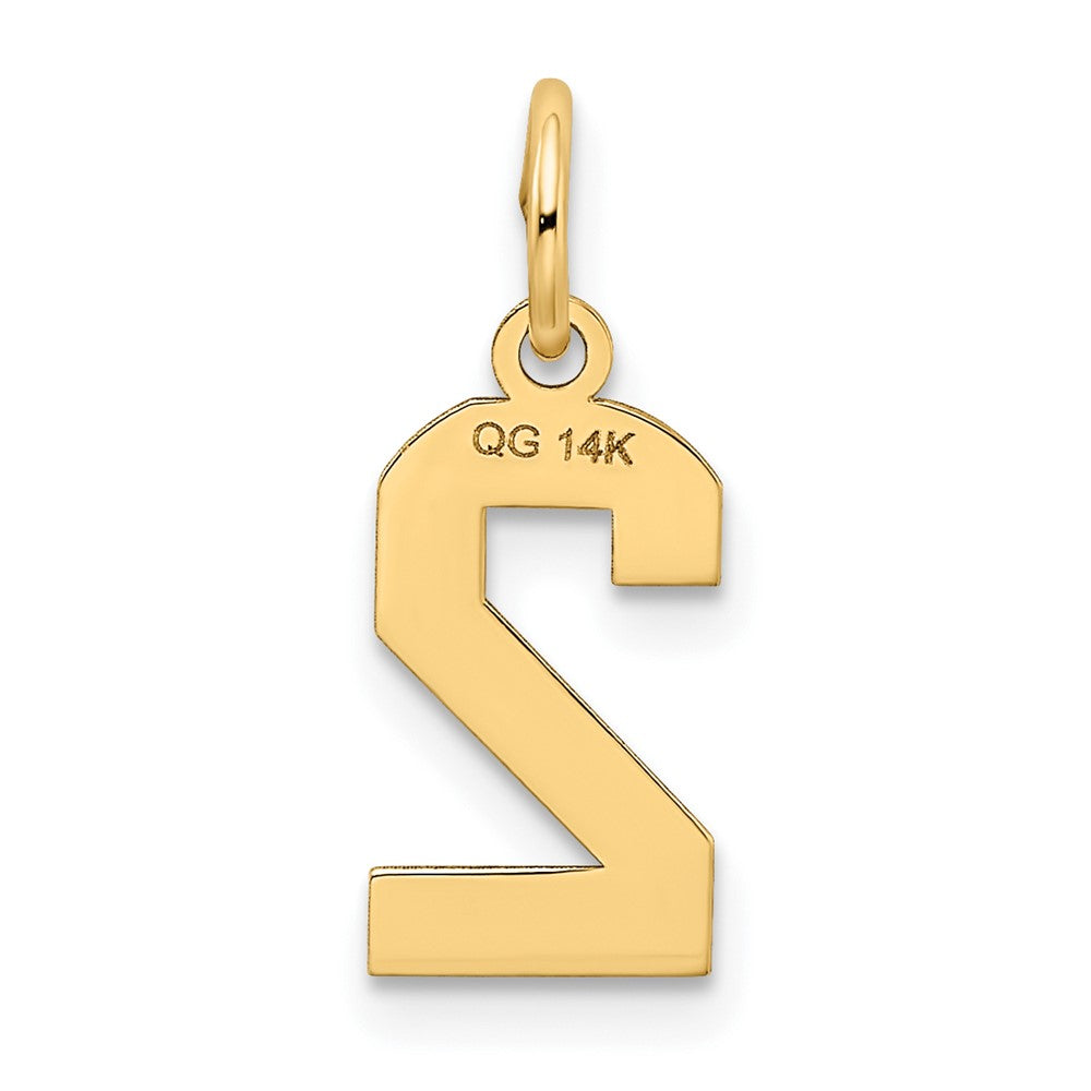 FJC Finejewelers 10 kt Yellow Gold Small Satin Number 2 Charm 18 x 7 mm