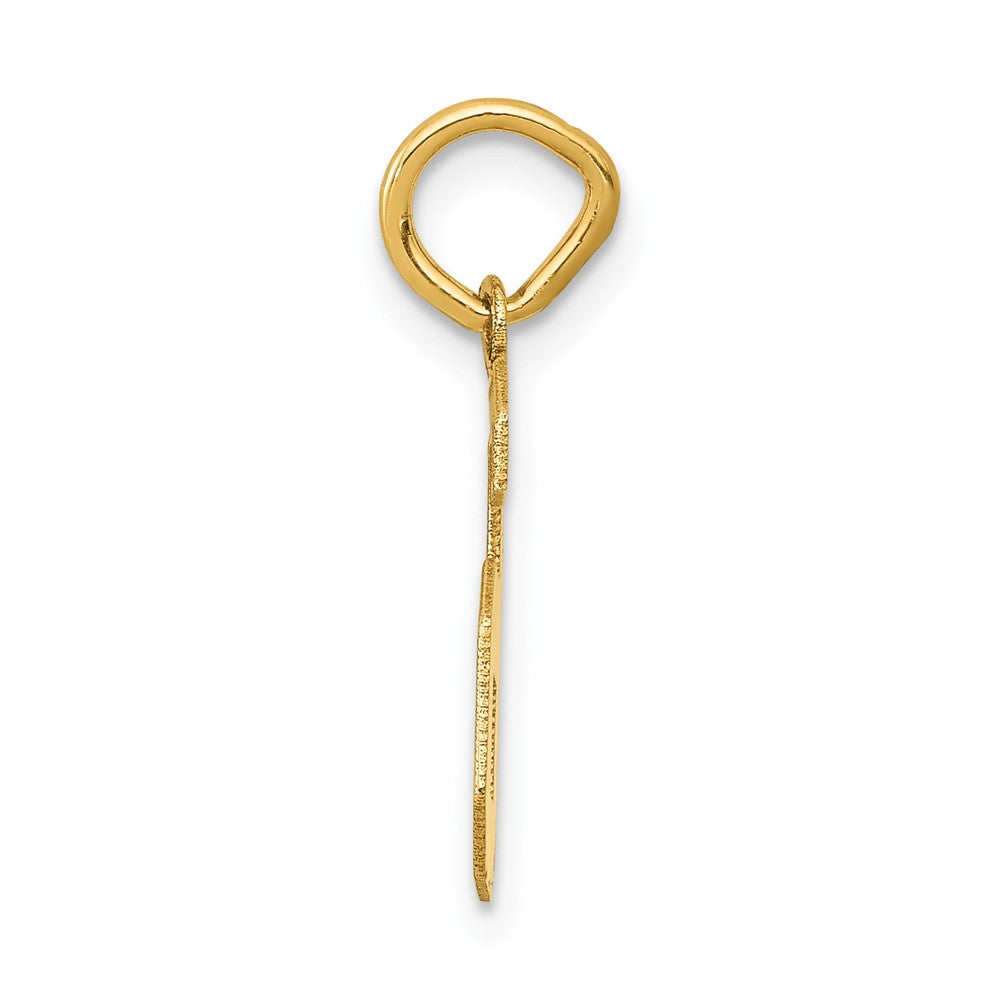 FJC Finejewelers 10 kt Yellow Gold Small Satin Number 6 Charm 18 x 7 mm