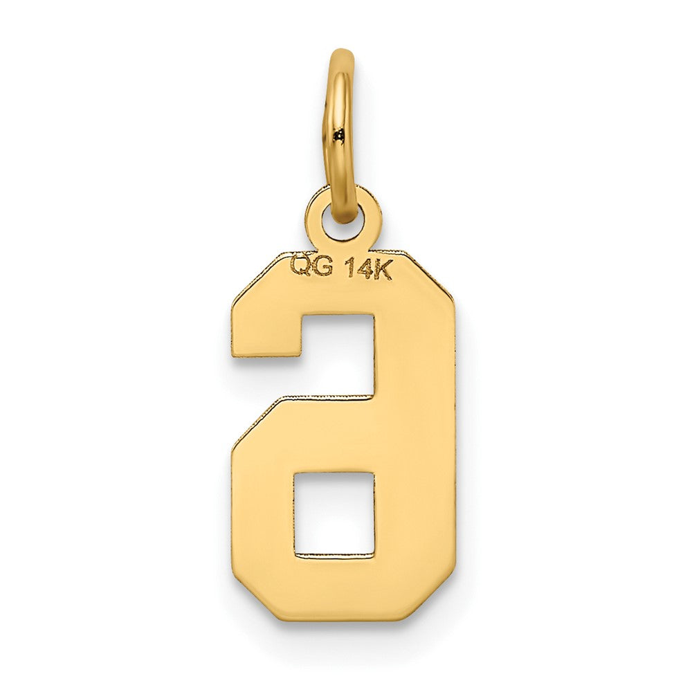 FJC Finejewelers 10 kt Yellow Gold Small Satin Number 6 Charm 18 x 7 mm