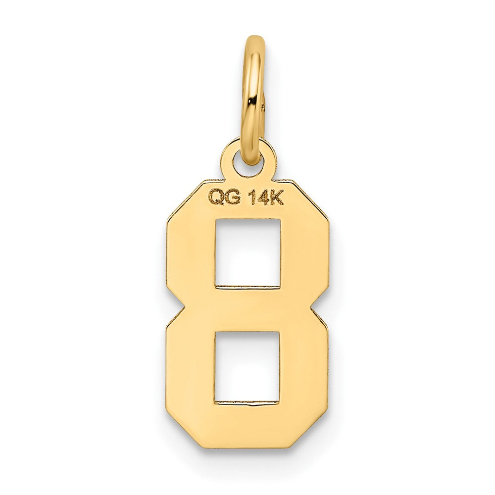 FJC Finejewelers 10 kt Yellow Gold Small Satin Number 8 Charm 18 x 7 mm