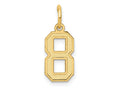 FJC Finejewelers 10 kt Yellow Gold Small Satin Number 8 Charm 18 x 7 mm