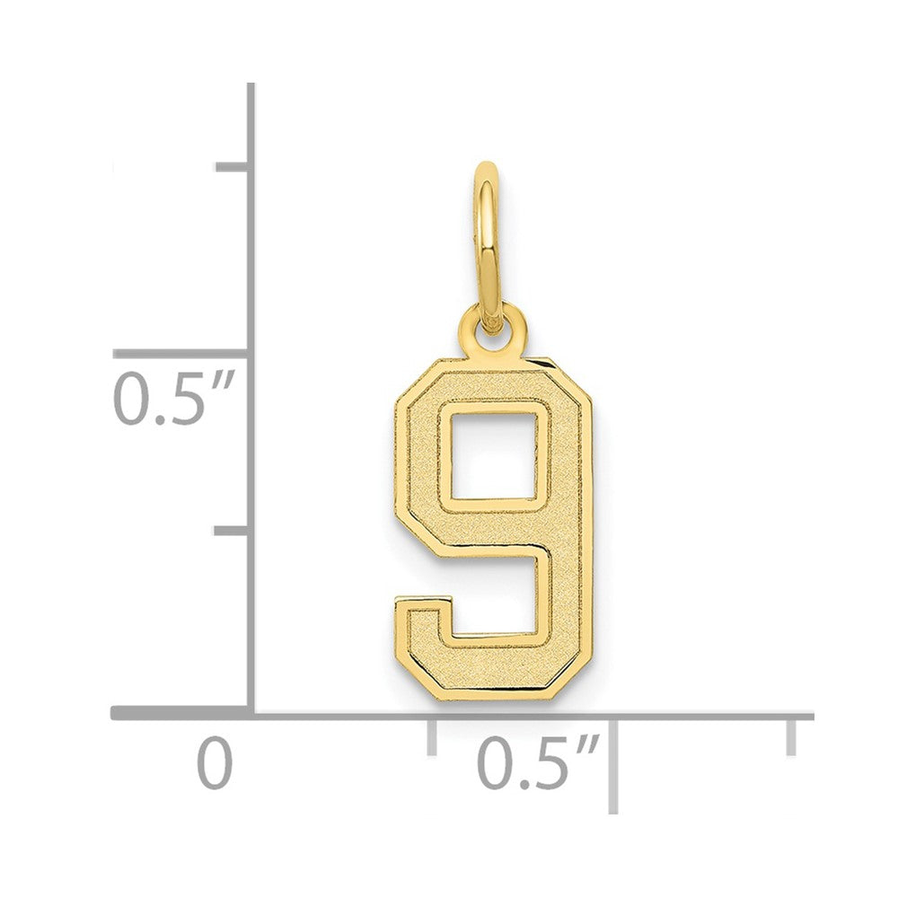 FJC Finejewelers 10 kt Yellow Gold Small Satin Number 9 Charm 18 x 7 mm