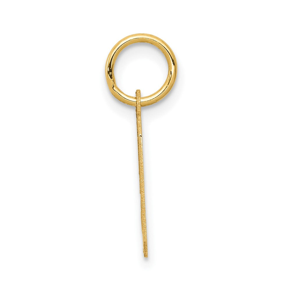 FJC Finejewelers 10 kt Yellow Gold Small Satin Number 9 Charm 18 x 7 mm