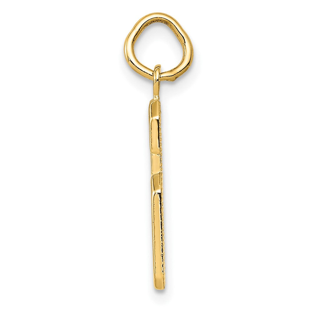 FJC Finejewelers 10 kt Yellow Gold Casted Medium Polished Number 6 Charm 22 x 9 mm