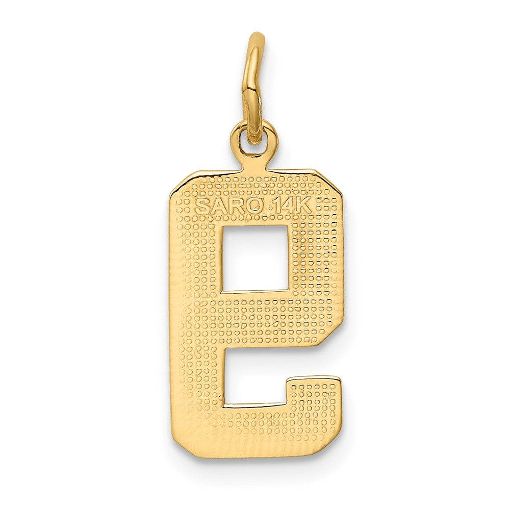 FJC Finejewelers 10 kt Yellow Gold Casted Medium Polished Number 9 Charm 22 x 9 mm