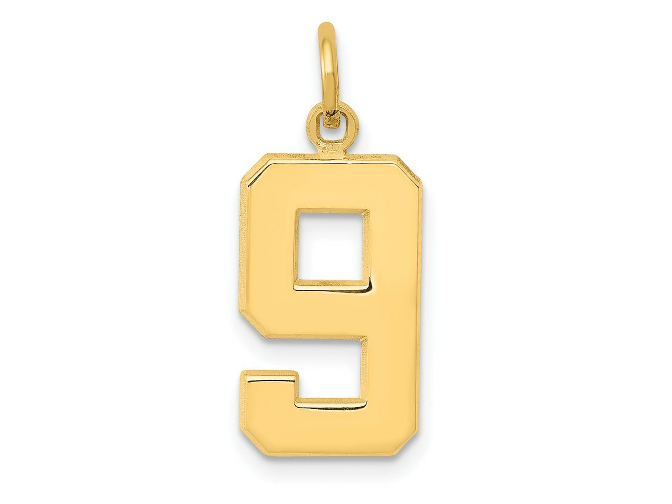 FJC Finejewelers 10 kt Yellow Gold Casted Medium Polished Number 9 Charm 22 x 9 mm