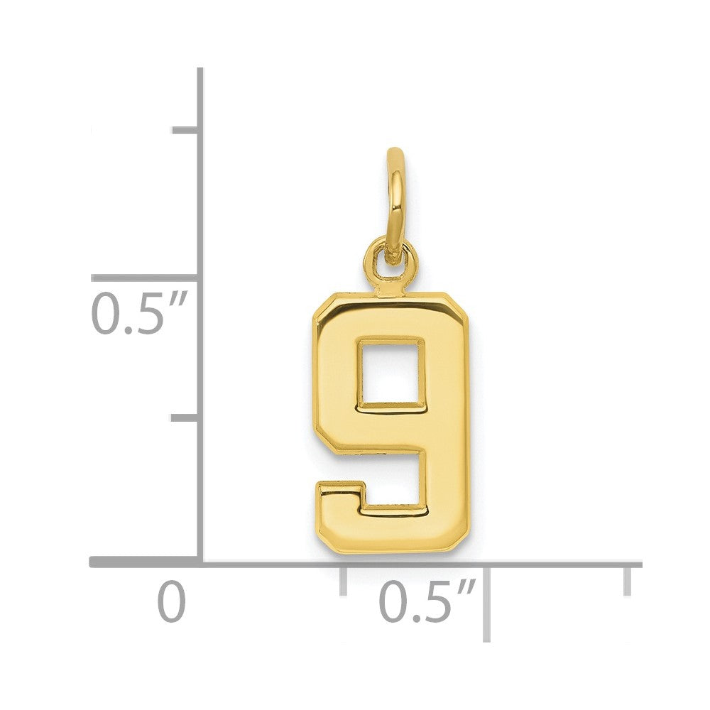 FJC Finejewelers 10 kt Yellow Gold Casted Small Polished Number 9 Charm 20 x 7 mm
