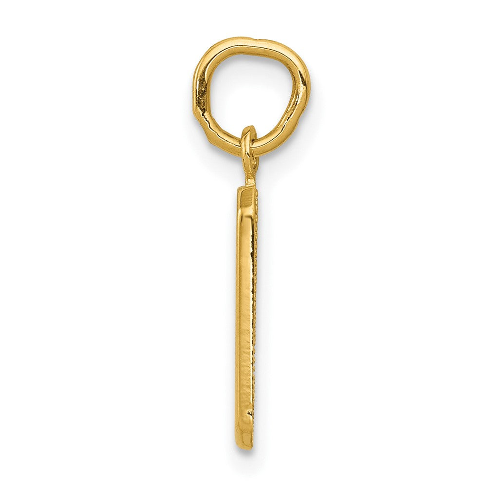 FJC Finejewelers 10 kt Yellow Gold Casted Small Polished Number 9 Charm 20 x 7 mm