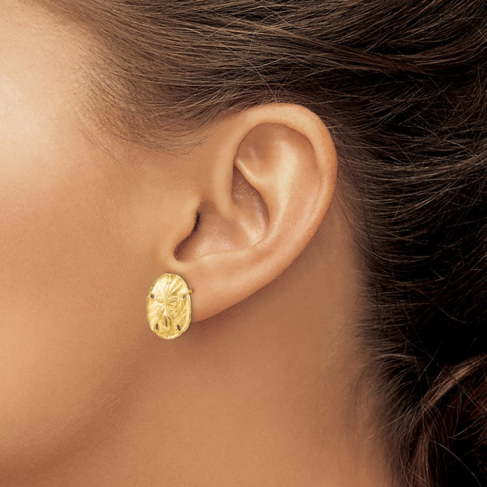 FJC Finejewelers 10 kt Yellow Gold Button Large Sanddollar Post Earrings 16 mm x 16 mm