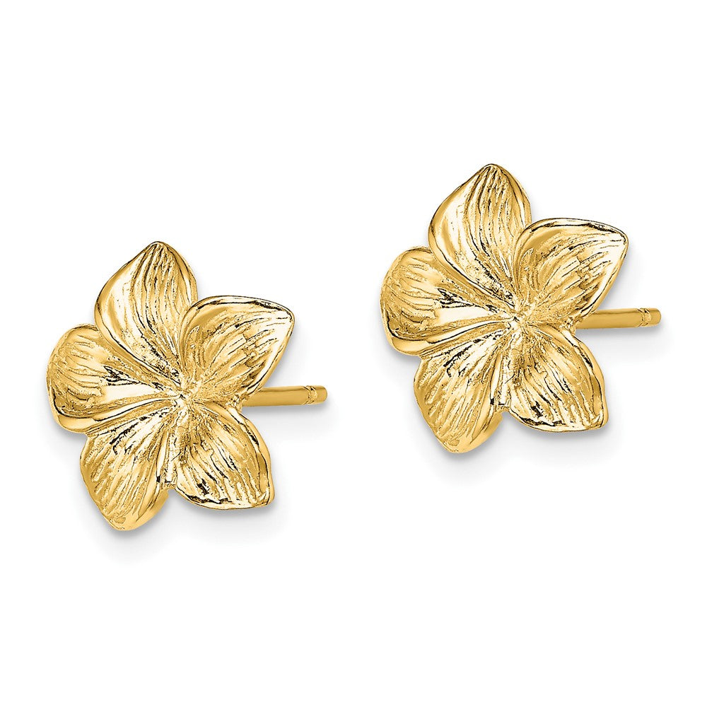 FJC Finejewelers 10 kt Yellow Gold Button Plumeria Flower Post Earrings 11 mm x 11 mm