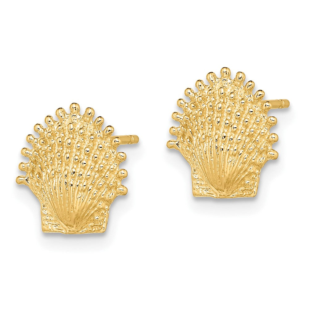FJC Finejewelers 10 kt Yellow Gold Button Beaded Scallop Shell Post Earrings 10 mm