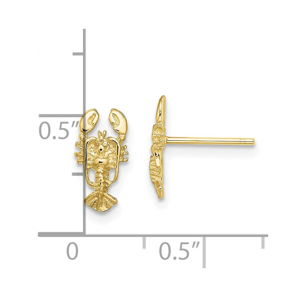 FJC Finejewelers 10 kt Yellow Gold Button 2-D Lobster Post Earrings 10 mm x 5 mm