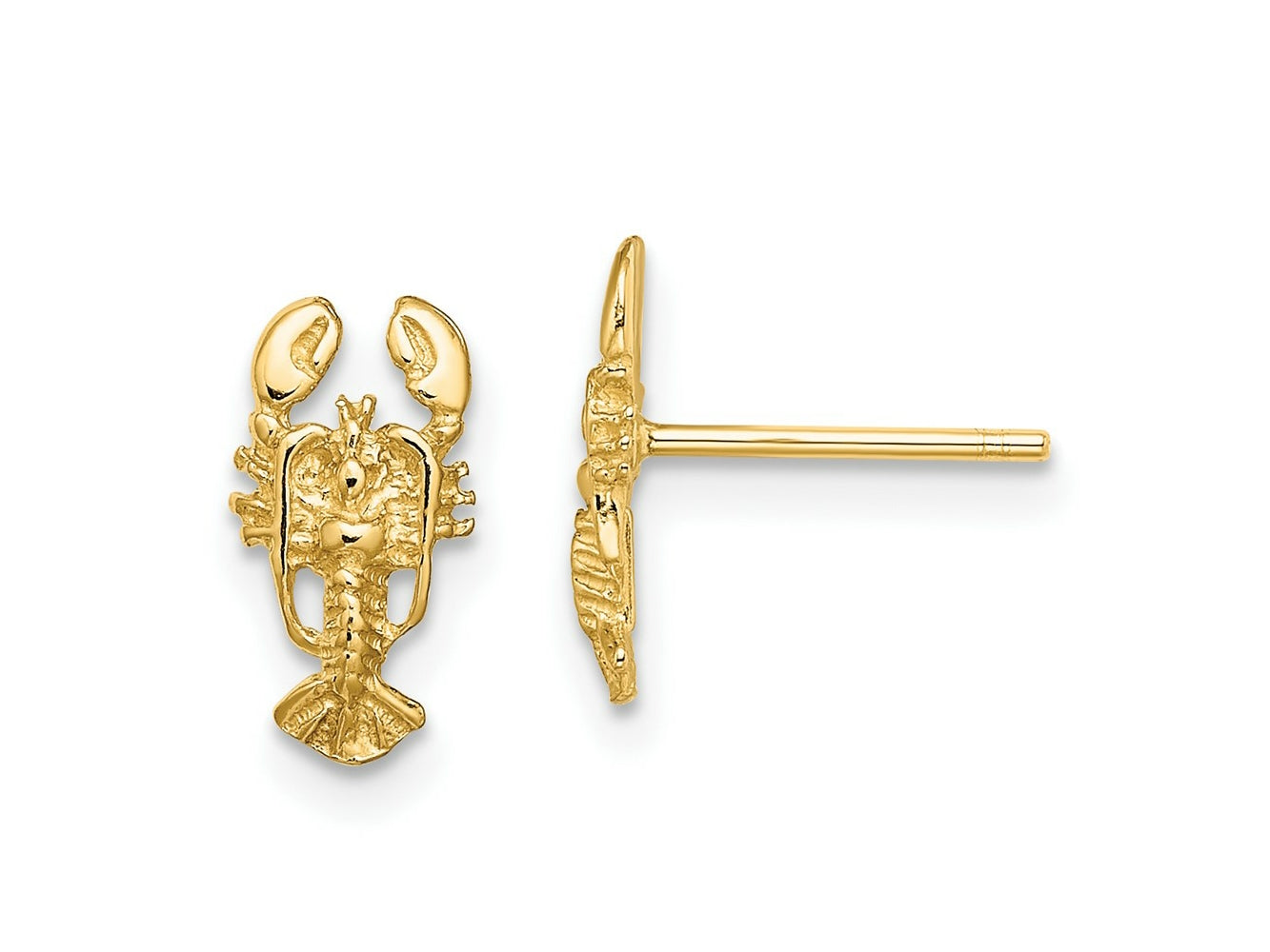 FJC Finejewelers 10 kt Yellow Gold Button 2-D Lobster Post Earrings 10 mm x 5 mm