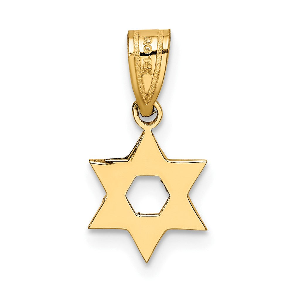 FJC Finejewelers 10 kt Yellow Gold Star of David Charm 17 x 10 mm