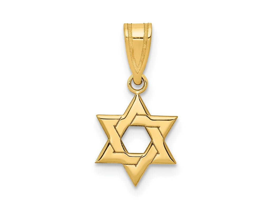 FJC Finejewelers 10 kt Yellow Gold Star of David Charm 17 x 10 mm