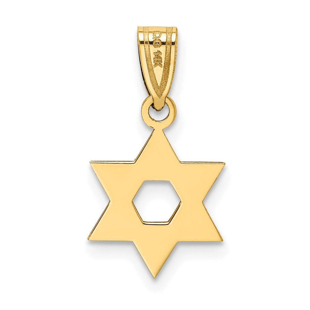 FJC Finejewelers 10 kt Yellow Gold Star of David Charm 18 x 11 mm