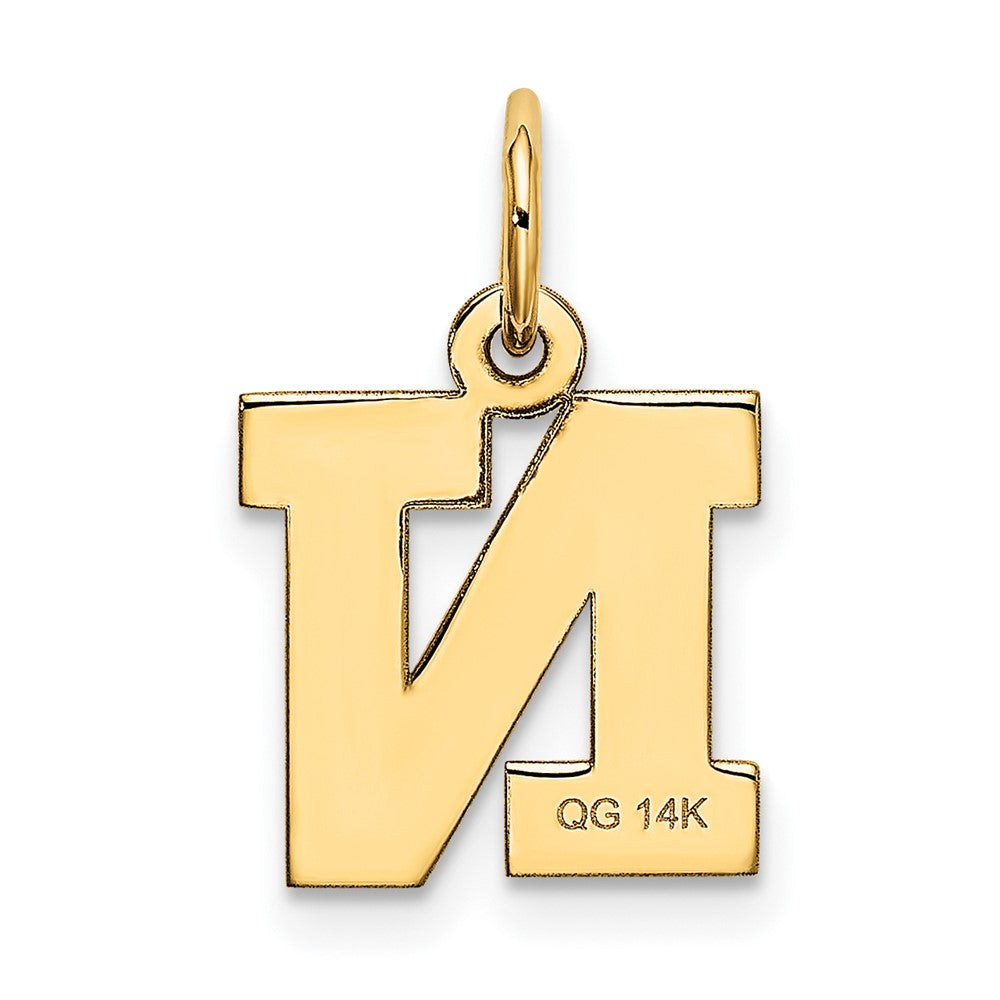 FJC Finejewelers 10 kt Yellow Gold Small Block Initial N Charm 18 x 12 mm