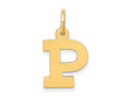 FJC Finejewelers 10 kt Yellow Gold Small Block Initial P Charm 18 x 12 mm