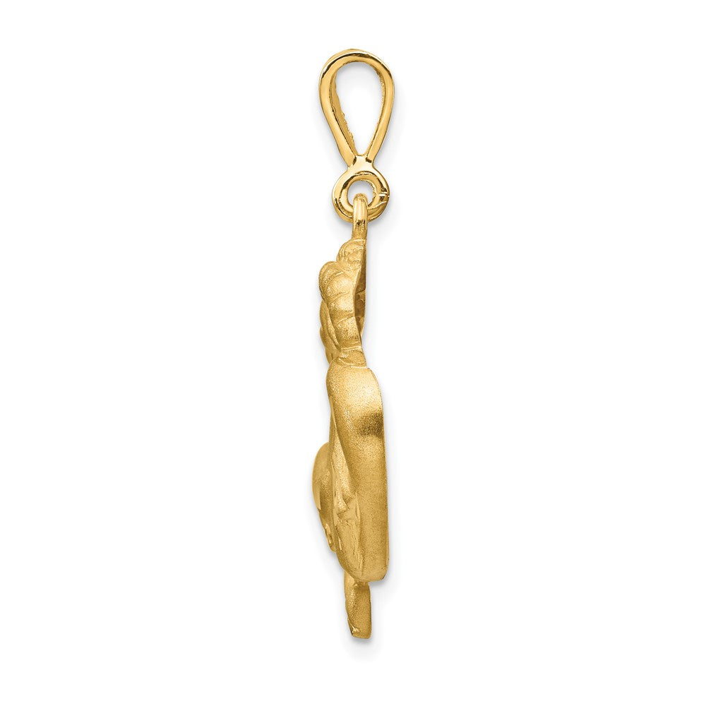 FJC Finejewelers 10 kt Yellow Gold Capricorn Zodiac Charm 30 x 20 mm