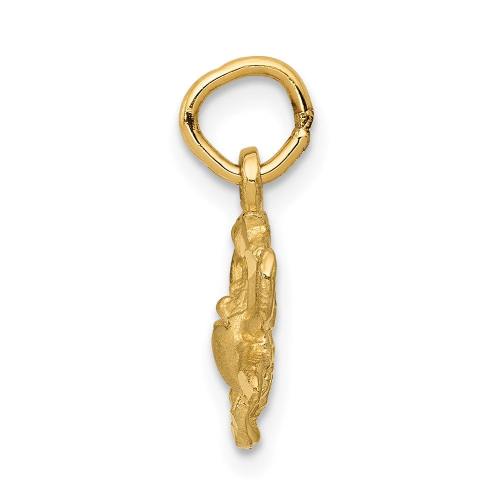 FJC Finejewelers 10 kt Yellow Gold Cancer Zodiac Charm 20 x 10 mm