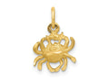 FJC Finejewelers 10 kt Yellow Gold Cancer Zodiac Charm 20 x 10 mm