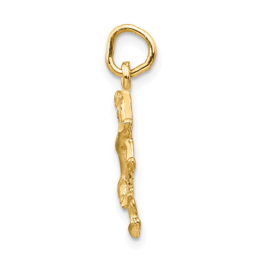 FJC Finejewelers 10 kt Yellow Gold Leo Zodiac Charm 22 x 8 mm