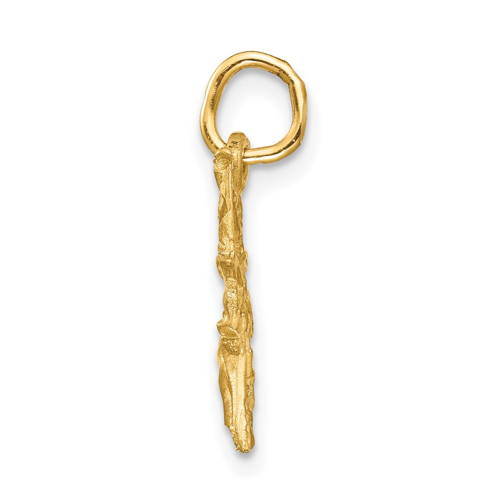 FJC Finejewelers 10 kt Yellow Gold Sagittarius Zodiac Charm 22 x 12 mm