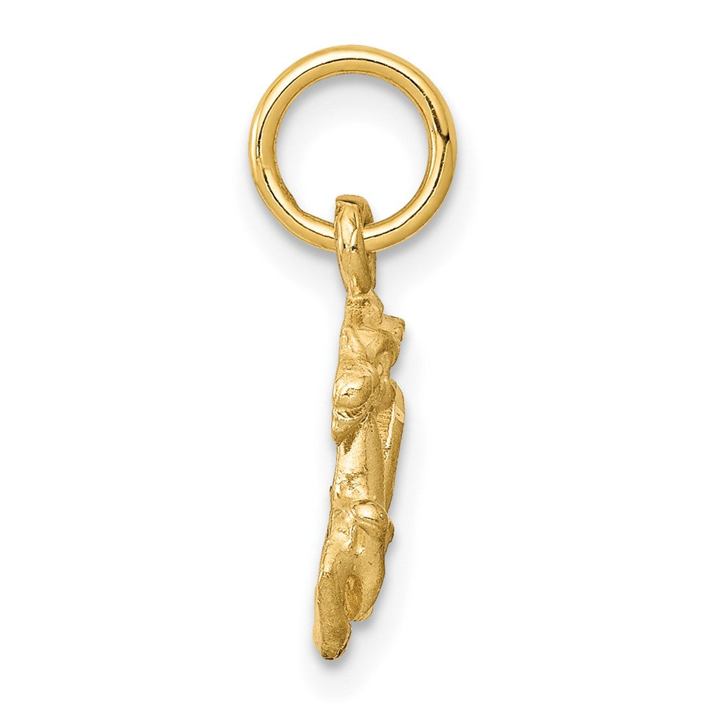 FJC Finejewelers 10 kt Yellow Gold Capricorn Zodiac Charm 18 x 10 mm