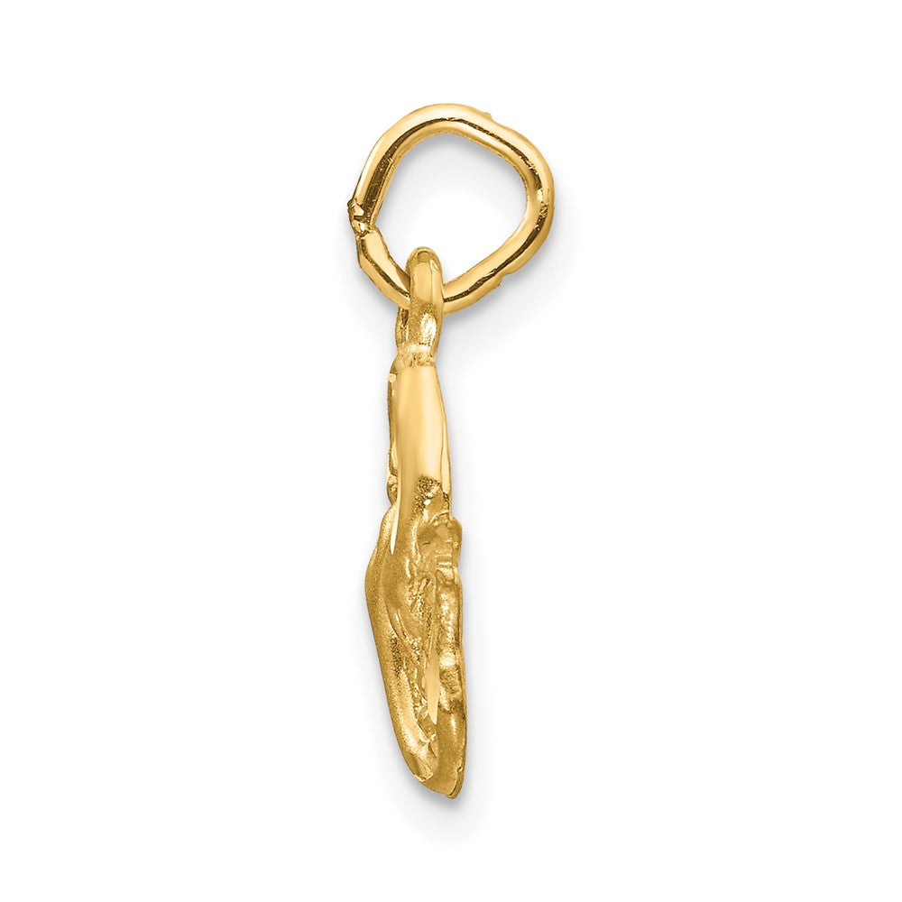FJC Finejewelers 10 kt Yellow Gold Pisces Zodiac Charm 20 x 8 mm
