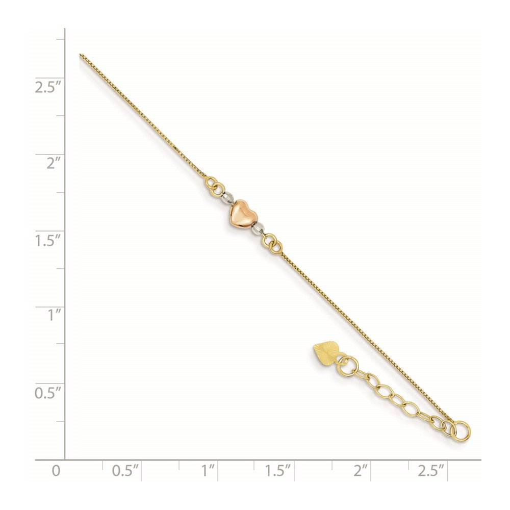 FJC Finejewelers 14 kt Tri Color Gold Box Tri-Color Puffed Heart 10in Plus 1in ext Anklet 10 Inches x 1 mm