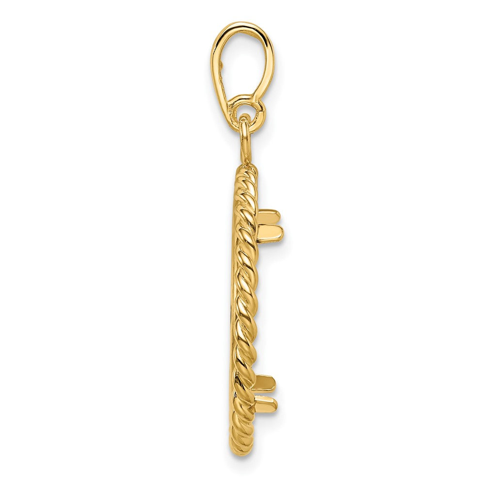 FJC Finejewelers 14 kt Yellow Gold with Twisted Wire 18.0mm Prong Coin Bezel Pendant