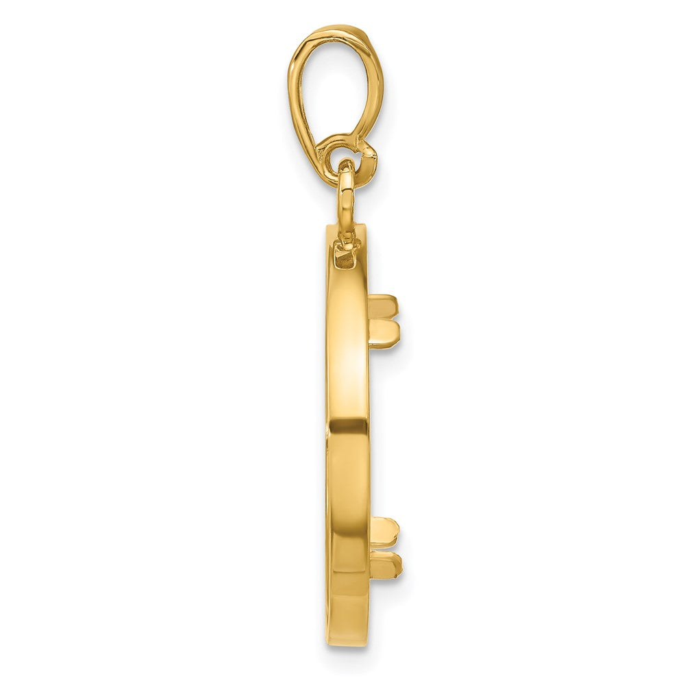 FJC Finejewelers 14 kt Yellow Gold Casted Rope with Bright Edge 16.5mm Prong Coin Bezel Pendant