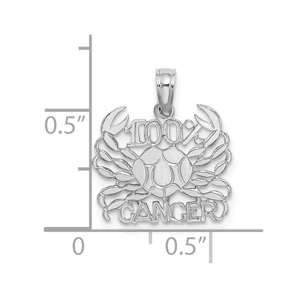 FJC Finejewelers 14 kt White Gold WG 100% CANCER Zodiac Charm 16 x 15 mm