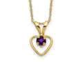 FJC Finejewelers 14 kt Yellow Gold Rope 3mm Amethyst Heart Birthstone Necklace 15 Inches x 6 mm