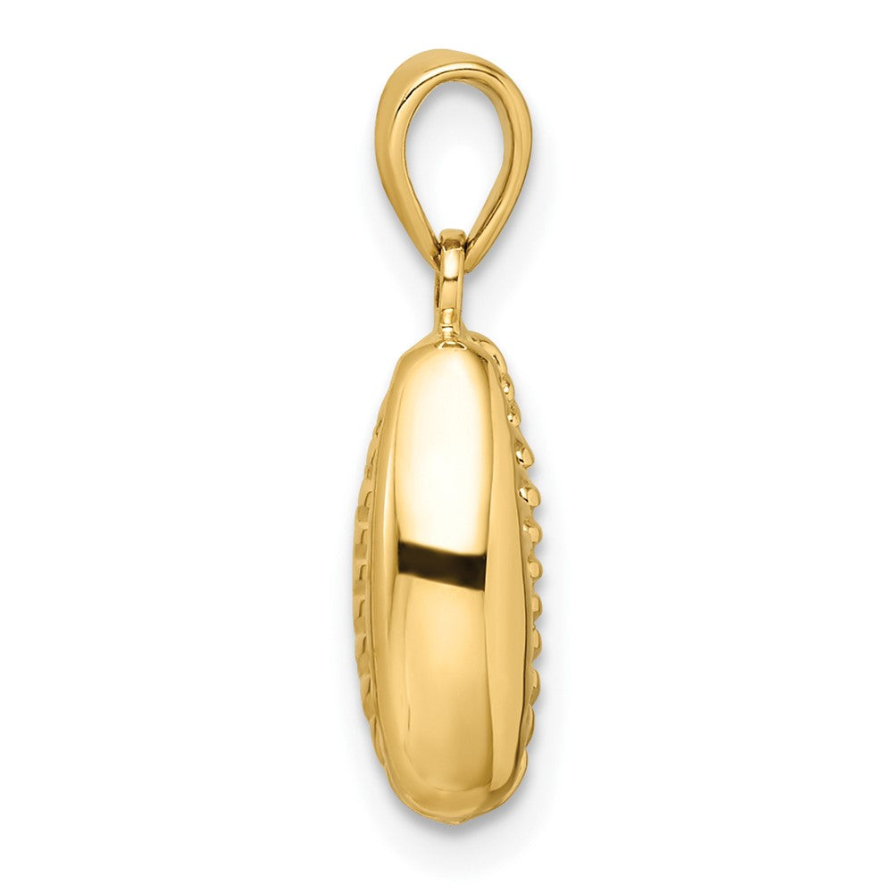 FJC Finejewelers 14 kt Yellow Gold Polished 3D Crowrie Shell Charm 20 x 9 mm
