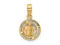 FJC Finejewelers 14 kt Yellow Gold Bright Cut Rose and White Rhodium CZ Mary Round Charm 20 x 11 mm