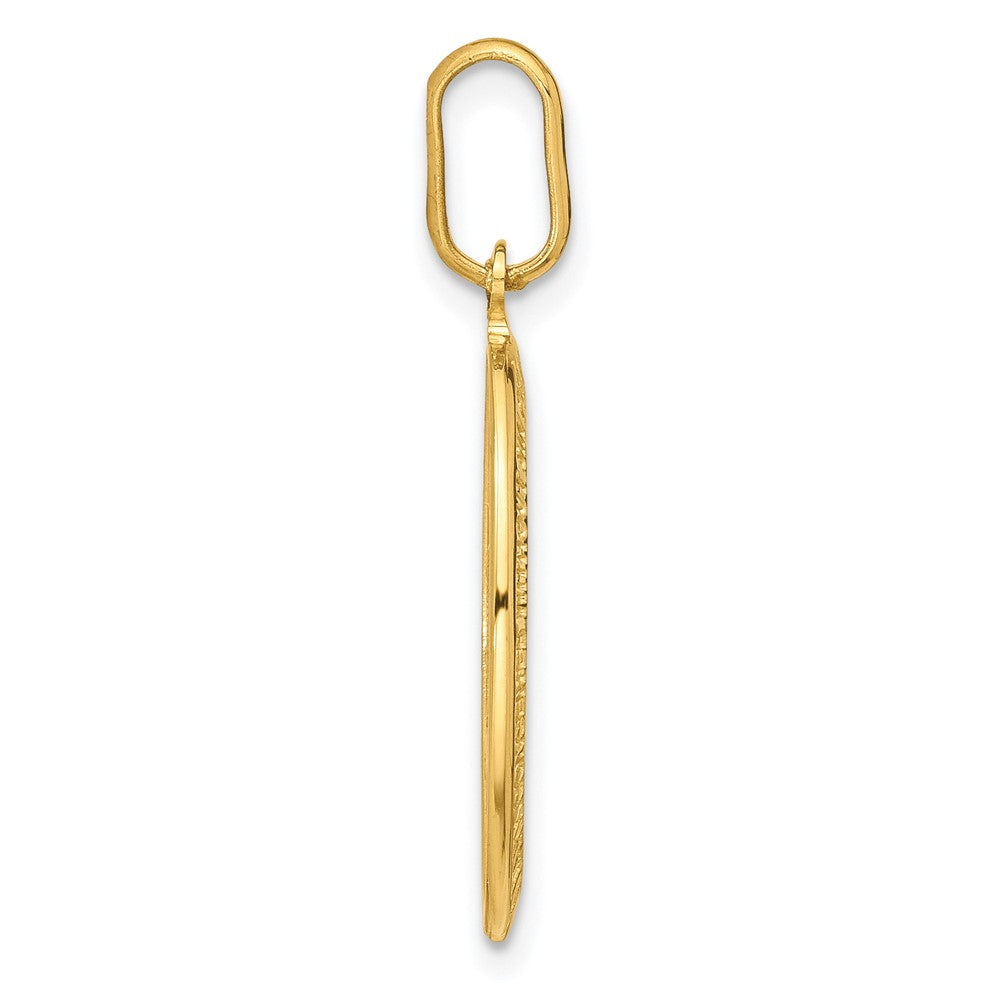 FJC Finejewelers 14 kt Yellow Gold Polished and Matte Oval Miraculous Medal