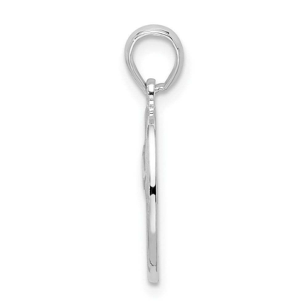 FJC Finejewelers 925 Sterling Silver d Polished/Textured Fleur de Lis Oval Charm 11 mm